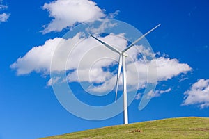 Wind turbine with 3 blades in a field of grass