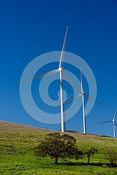 Wind turbine with 3 blades in a field of grass