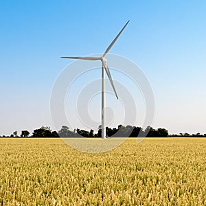 Wind Turbine