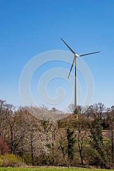 Wind turbine against blue sky, blooming wild cherry tree and and fields in foreground