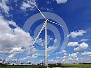 Wind turbine along dike at Ooltgensplaat