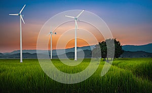Wind Turbine for alternative energy in green rice field