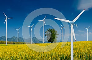 Wind Turbine for alternative energy in Yellow flowers field of Crotalaria with power poles.