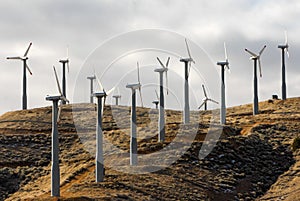 Wind turbine array