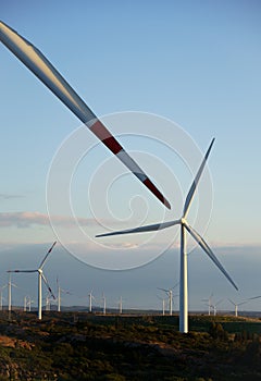 Wind turbine with beautiful blue sky, Portoscuso,south Sardinia photo