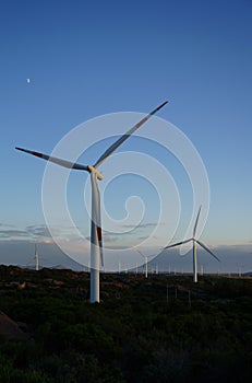 Wind turbine with beautiful blue sky, Portoscuso,south Sardinia photo