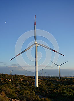 Wind turbine with beautiful blue sky, Villacidro,south Sardinia photo