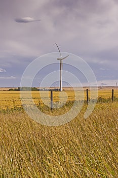 Wind turbine on the Canadian prairie