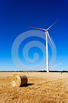 Wind turbine and cereal crop