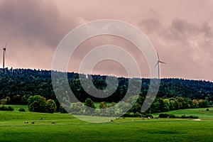 Wind turbine, cow, meadow and trees. Cattle grazing on the meadow with wind turbine and trees in the background.