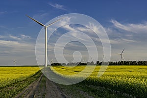 Wind turbine at the end of a road in a canola field