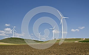 Wind turbine farm