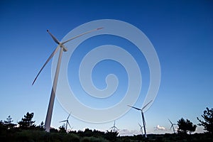 Wind Turbine Farm