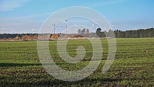 Wind turbine farm behind winter grain field with blue sky, green energy or ecological power generation concept