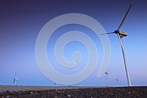 Wind turbine farm with blue sky