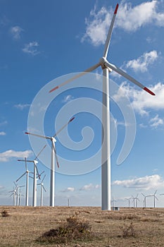 Wind turbine farm over the blue clouded sky