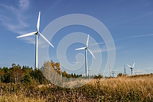 Wind turbine farm over blue sky