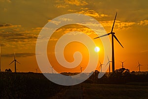 Wind Turbine Farm at Sunset
