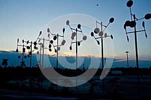 Wind turbine farm at sunset