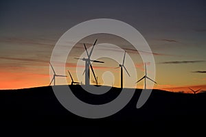 Wind turbine farm at sunset