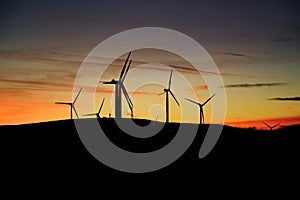 Wind turbine farm at sunset