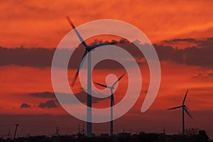 Wind turbine farm at sunset