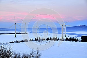 Wind turbine farm at sunset