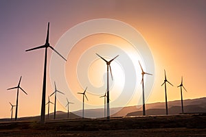 Wind turbine farm at sunset producing renewable energy, several windmill generating clean ecological electricity, sustainable