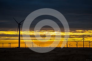 Wind Turbine Farm West Texas Sunrise Sunset photo