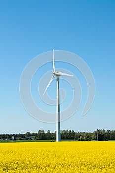 Wind turbine in the farmland