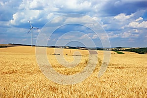 Wind turbine in a field