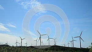 Wind Turbine Field