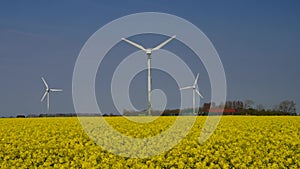 Wind turbine field