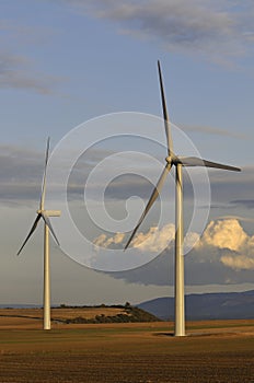 Wind turbine field