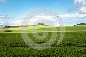 Wind turbine in a field and blue sky