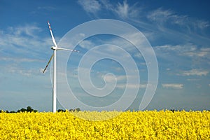 Wind turbine on field of oilseed