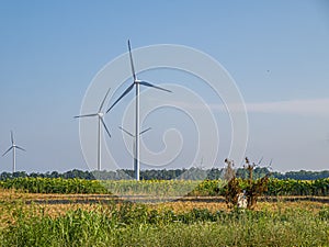 Wind turbine in the fields of Bulgaria.