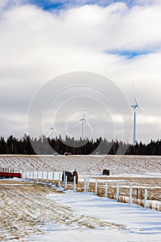 Wind turbine in Gaspesie
