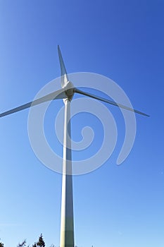 Wind turbine generating electricity