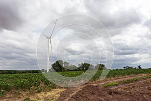 Wind turbine generator