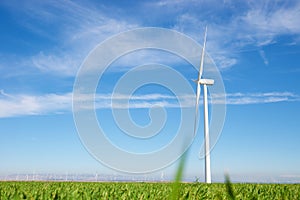 Wind turbine generators for green electricity production