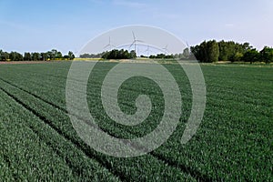 Wind turbine on grassy green field against cloudy blue sky in rural area. Offshore windmill park with clouds in farmland