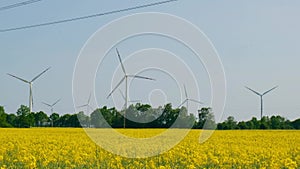 Wind turbine on grassy yellow farm canola field against cloudy blue sky in rural area. Concept of climate friendly