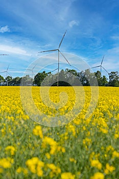 Wind turbine on grassy yellow field against cloudy blue sky in rural area during sunset. Offshore windmill park with