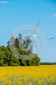Wind turbine on grassy yellow field against cloudy blue sky in rural area during sunset. Offshore windmill park with