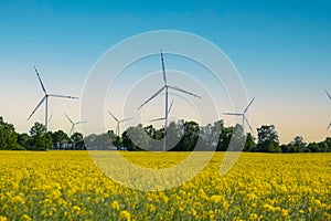 Wind turbine on grassy yellow field against cloudy blue sky in rural area during sunset. Offshore windmill park with