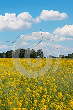 Wind turbine on grassy yellow field against cloudy blue sky in rural area during sunset. Offshore windmill park with