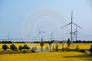 Wind turbine on grassy yellow field against cloudy blue sky in rural area during sunset. Offshore windmill park with