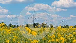 Wind turbine on grassy yellow field against cloudy blue sky in rural area during sunset. Offshore windmill park with