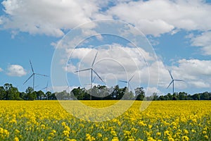 Wind turbine on grassy yellow field against cloudy blue sky in rural area during sunset. Offshore windmill park with
